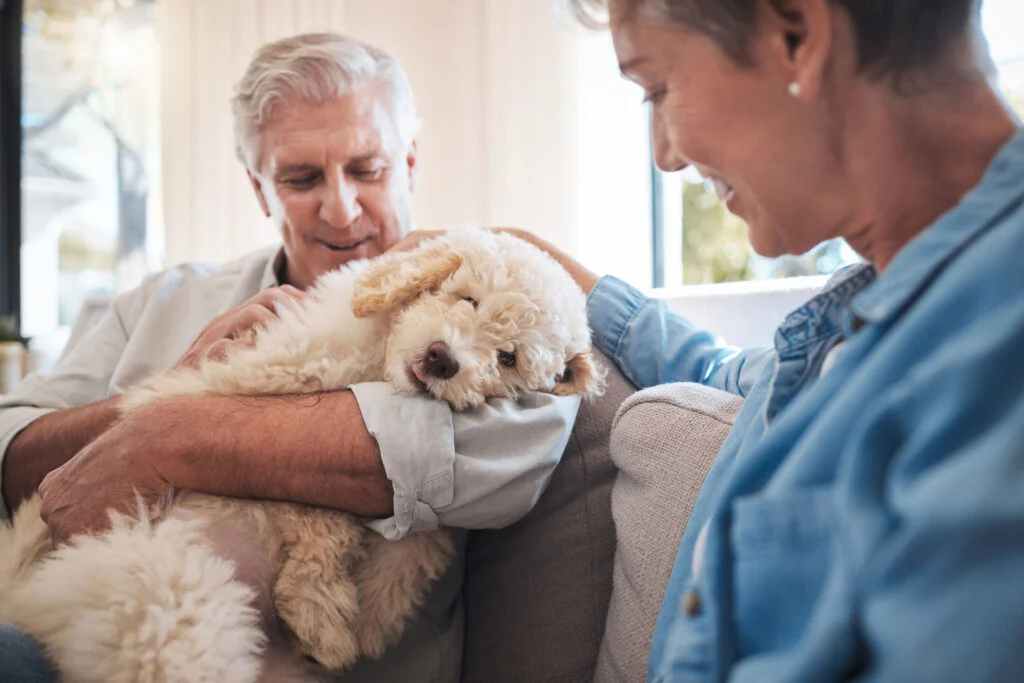 old age couple petting their dog with affection