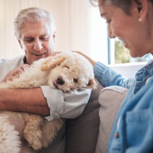 old age couple petting their dog with affection